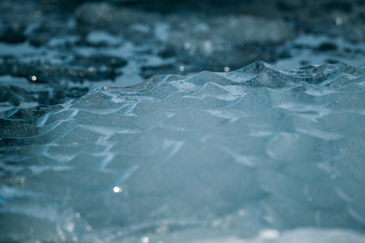 cold plunge vs sauna