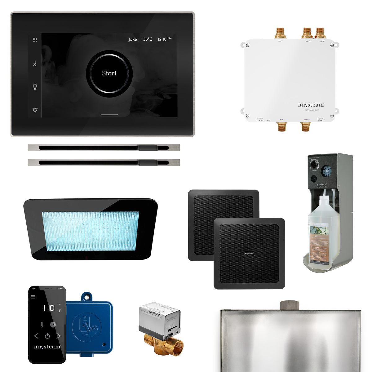 Mr.Steam Bliss Max Linear Control Kit
