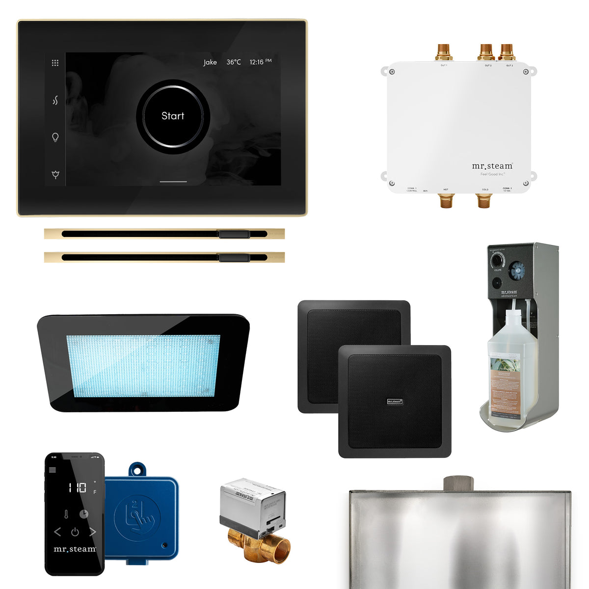 Mr.Steam Bliss Max Linear Control Kit