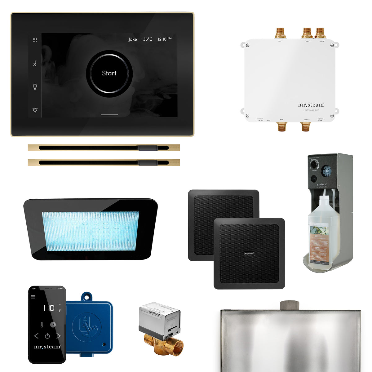 Mr.Steam Bliss Max Linear Control Kit
