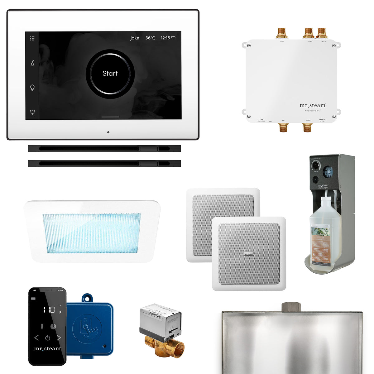 Mr.Steam Bliss Max Linear Control Kit