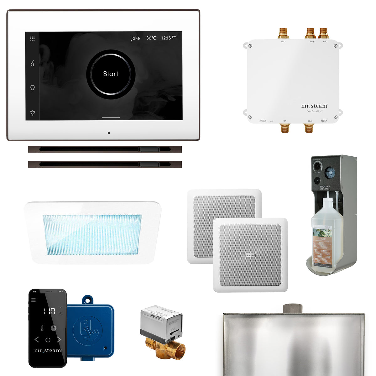 Mr.Steam Bliss Max Linear Control Kit