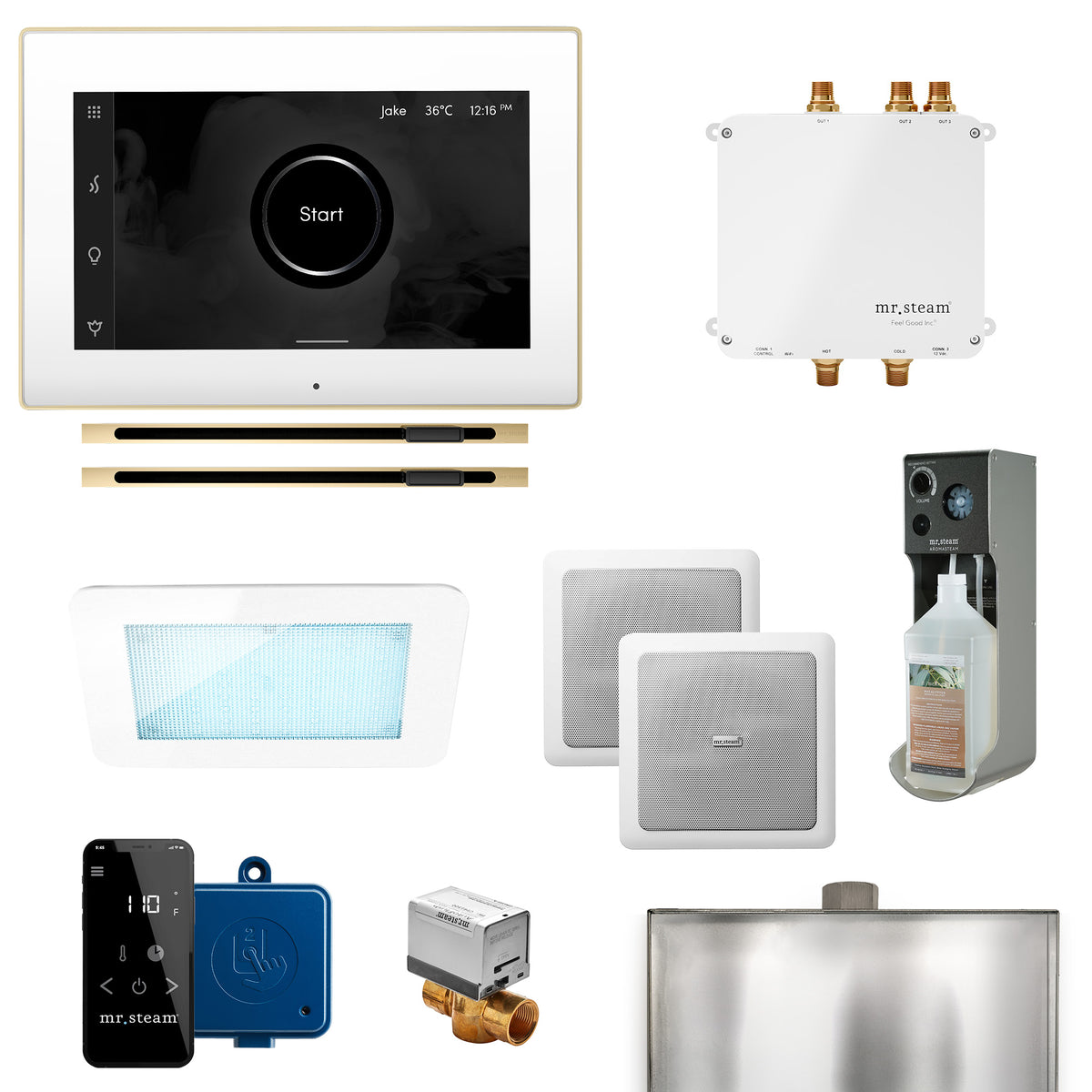 Mr.Steam Bliss Max Linear Control Kit