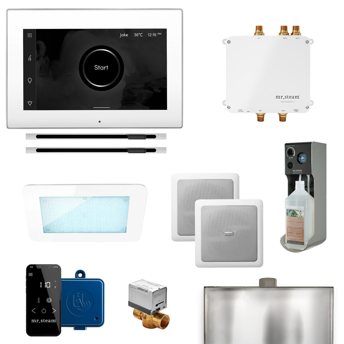 Mr.Steam Bliss Max Linear Control Kit