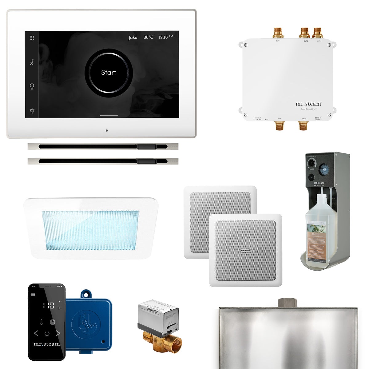 Mr.Steam Bliss Max Linear Control Kit