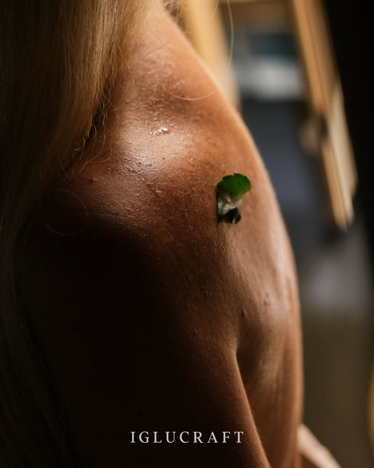 Iglucraft Triple Iglusauna 6-Person Fully Assembled Outdoor Sauna