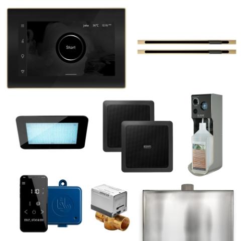 Mr.Steam XDream Max Linear Control Package with iSteamX Control and Linear Steam Head