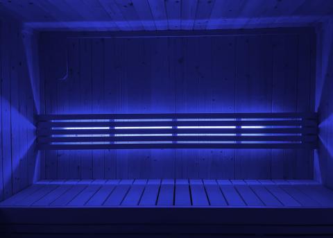 SaunaLife Color LED Lighting for SaunaLife X7 Sauna-Sauna Accessories-Nordica Sauna