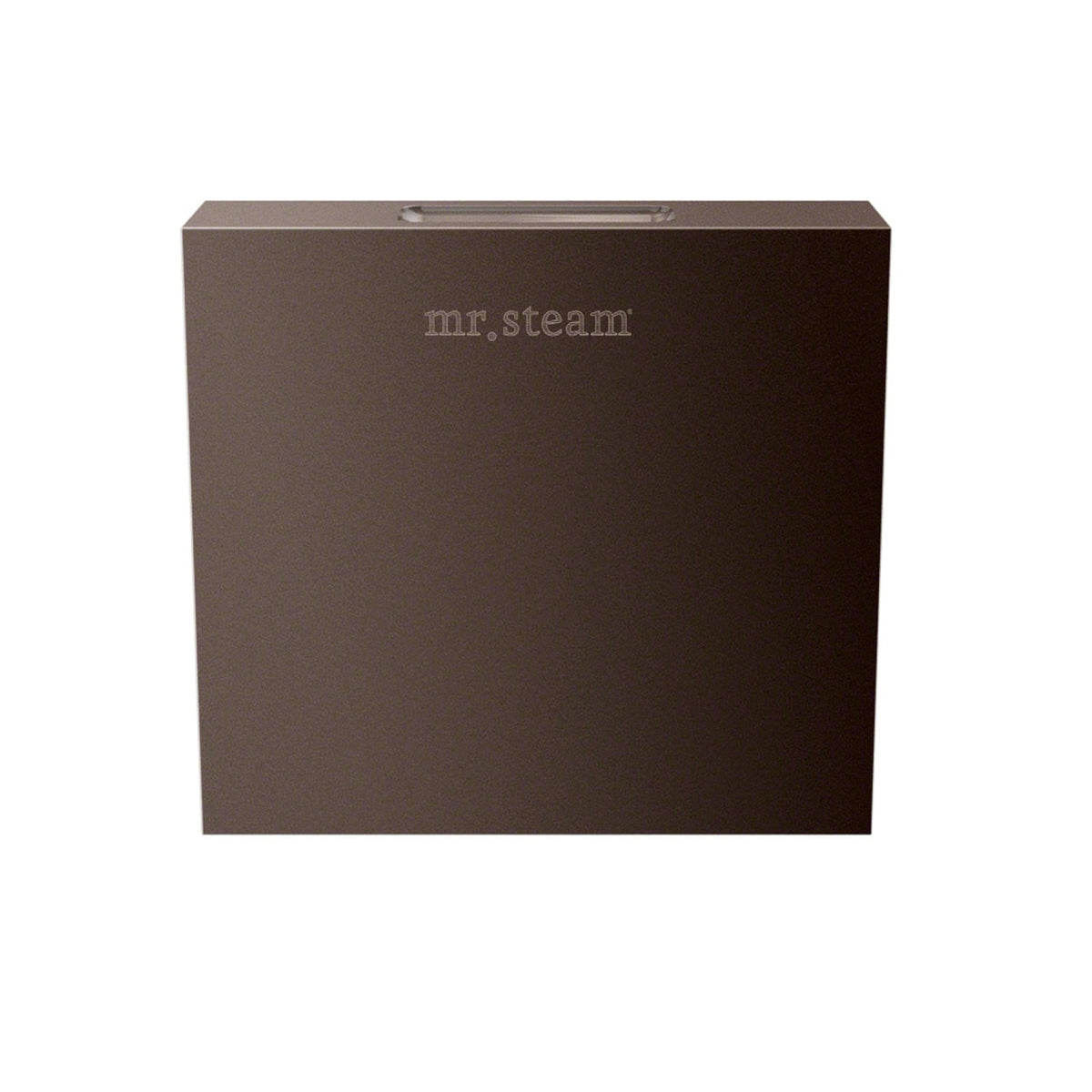 Mr. Steam Aroma Designer Square 3 in. Steam Head